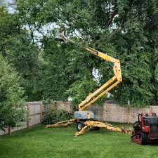 Best Firewood Processing and Delivery  in Peshtigo, WI