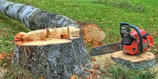 Best Stump Grinding and Removal  in Peshtigo, WI