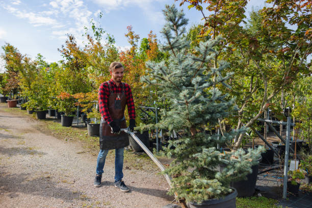 Best Commercial Tree Services  in Peshtigo, WI