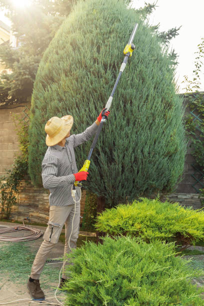  Peshtigo, WI Tree Services Pros