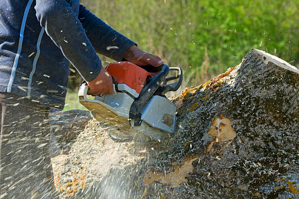 Best Soil Testing and Treatment  in Peshtigo, WI